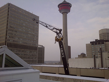 Bow City Crane image 27